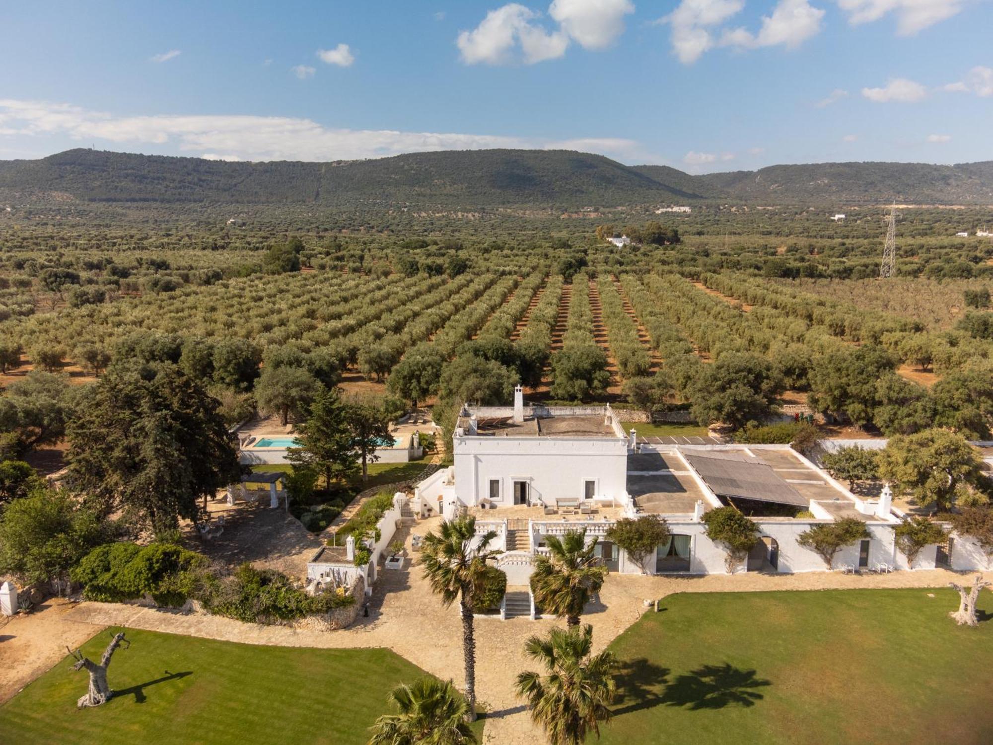 Masseria Eccellenza Пецце-ді-Ґреко Екстер'єр фото